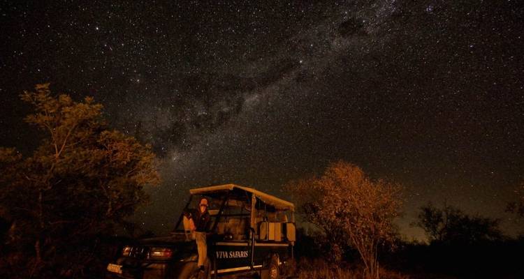 4 Day Lodge and Treehouse Kruger Park Safari - Viva Safaris 6