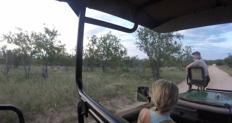 4 Day Lodge and Treehouse Kruger Park Safari - Viva Safaris 8
