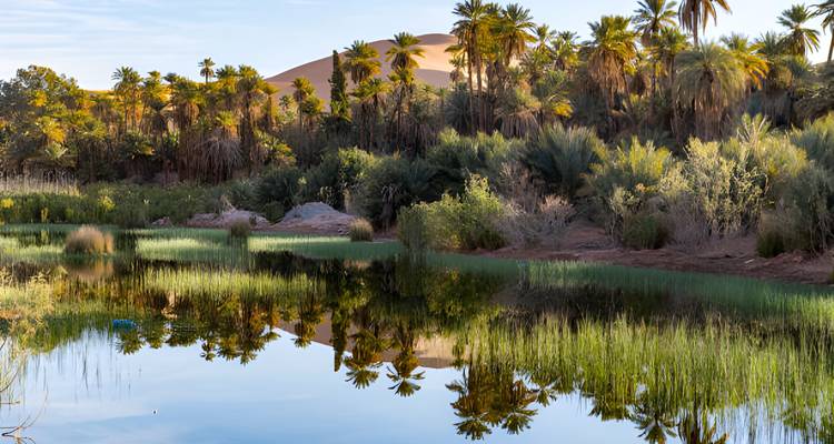 M'Zab Valley & Oases Tour - EL-GOLEA  Tourism  Travel 6
