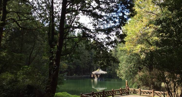Circuito privado de 3 días al lago Sun Moon y Alishan - Edison Travel Service 7