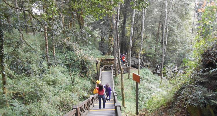Circuito privado de 3 días al lago Sun Moon y Alishan - Edison Travel Service 9