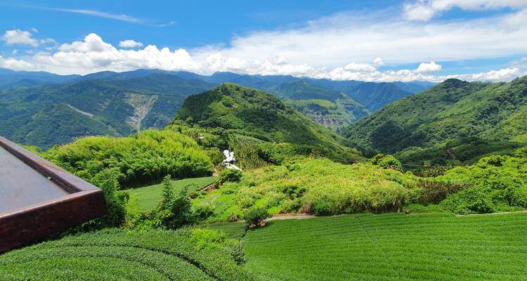 Luxuriantes terrasses de thé vert et forêts de bambous s'étendant vers les montagnes taiwanaises lointaines sous un ciel lumineux.