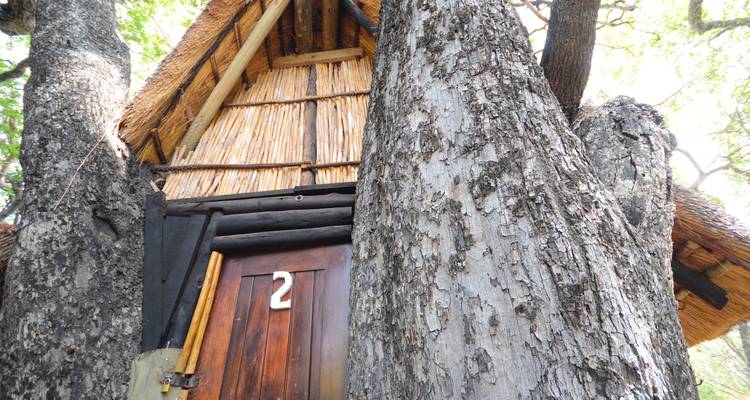 Safari de 3 días por el Parque Kruger en un albergue y una casa en un árbol - Viva Safaris 1