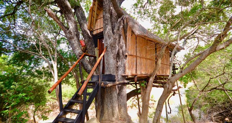 Safari de 3 días por el Parque Kruger en un albergue y una casa en un árbol - Viva Safaris 3