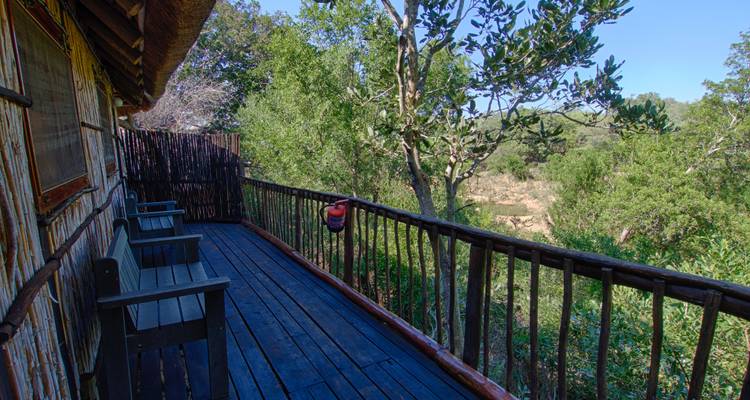 Safari de 3 días por el Parque Kruger en un albergue y una casa en un árbol - Viva Safaris 7