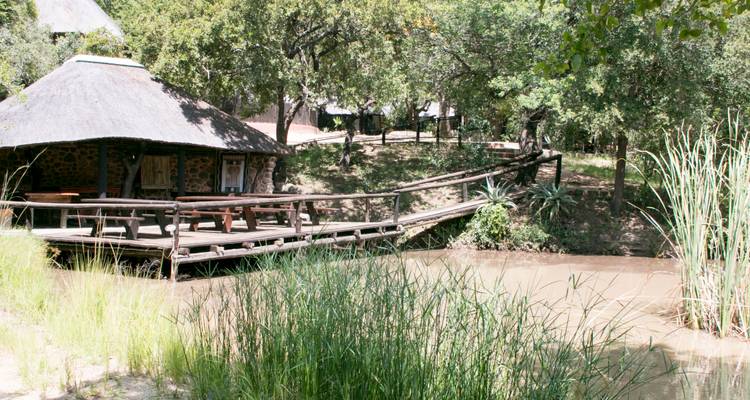 Safari de 3 días por el Parque Kruger en un albergue y una casa en un árbol - Viva Safaris 8