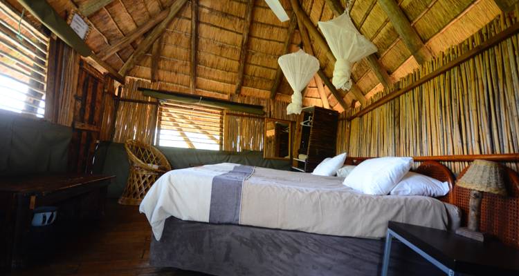 Safari de 3 días por el Parque Kruger en un albergue y una casa en un árbol - Viva Safaris 9