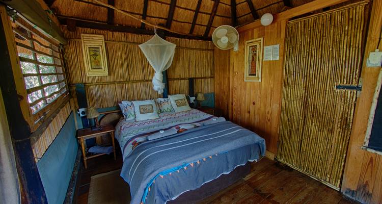Safari de 3 días por el Parque Kruger en un albergue y una casa en un árbol - Viva Safaris 10