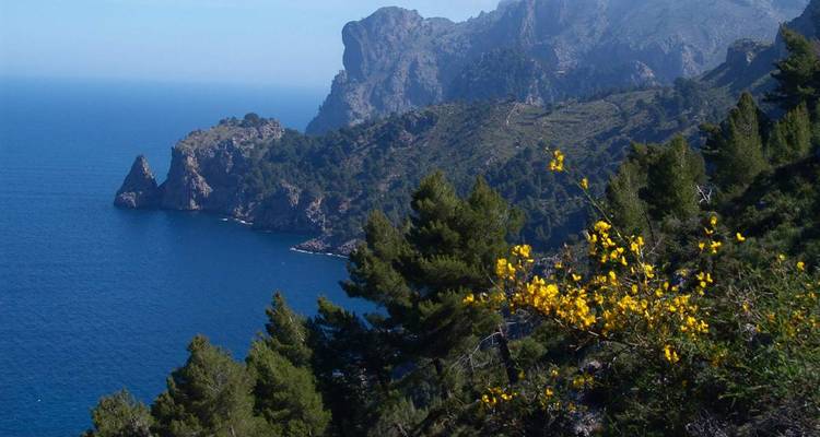 Paisaje costero con acantilados y mar azul cristalino.
