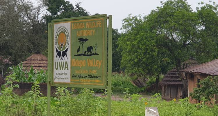 Piste de safari de l'est de l'Ouganda - Primate World Safaris (U) Ltd 8