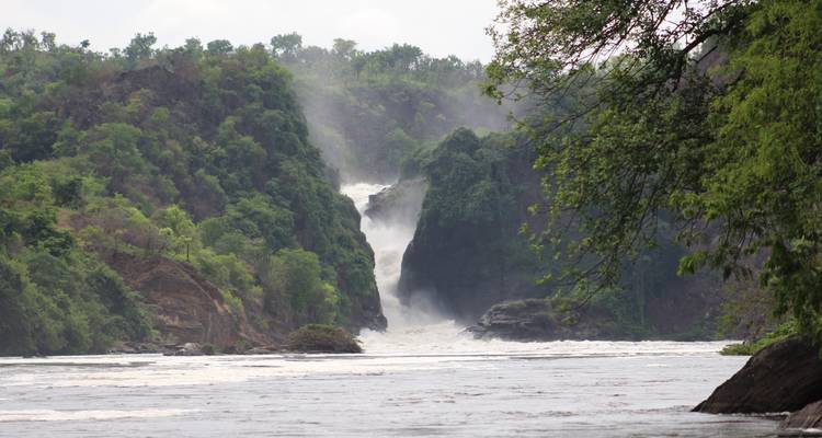 Piste de safari de l'est de l'Ouganda - Primate World Safaris (U) Ltd 10