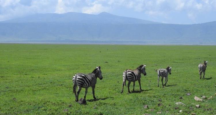 Classic Best Adventure Kenya and Tanzania, 2024- Luxury Accomodation Properties. - Classic Journeys Africa Ltd 6