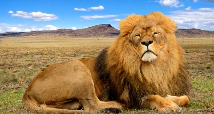 Classic Best Adventure Kenya and Tanzania, 2024- Luxury Accomodation Properties. - Classic Journeys Africa Ltd 7