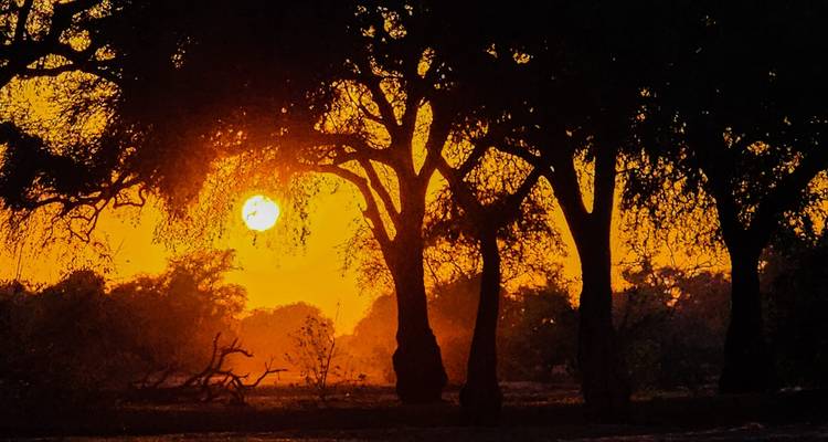 7 días en las Pozas de Mana y el Parque Nacional de Hwange - Little Roz Tours 7