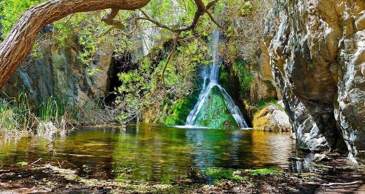 Small waterfall with a green pond surrounded by rocks and trees.