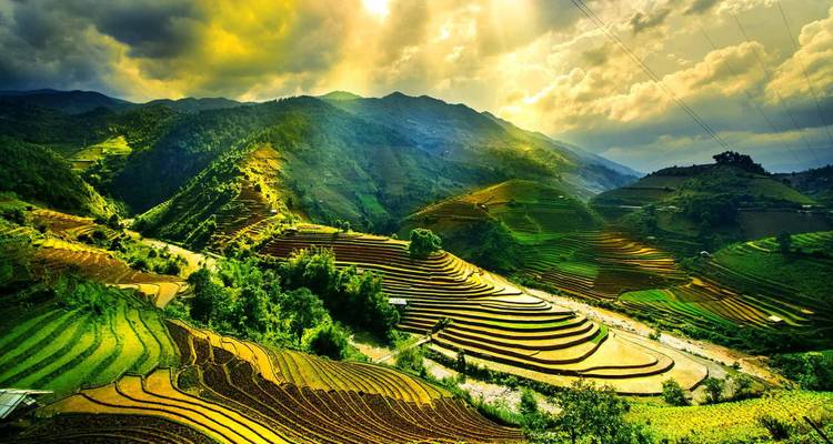 6 jours de délices culinaires et d'expériences immersives à Da Nang, Hoi An et Hue - Truong Sa Tourist 4