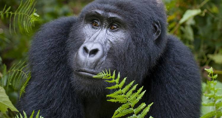 Grande expédition africaine vers le nord - avec hébergement - 56 jours - On The Go Tours 8