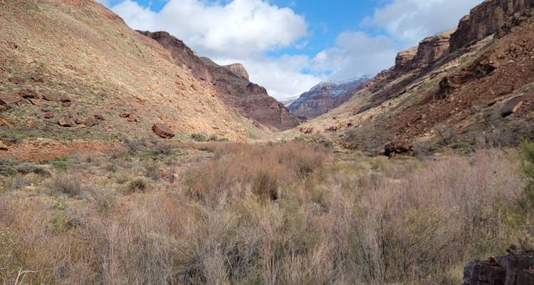 Trek dans l'arrière- pays du Grand Canyon jusqu'à Phantom Ranch - Bindlestiff Tours 7