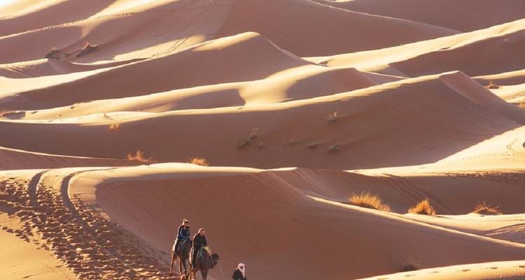 Menschen, die auf Kamelen durch die Sanddünen reiten.