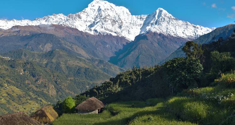 Trekking de cinco días a Ghorepani Poonhill y Ghandruk desde Pokhara - Linkage Tours And Travels Pvt. Ltd. 6