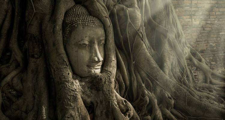 Experiencia de vida río Kwai y Ayutthaya 3 días - circuito privado - Tour East Thailand 10