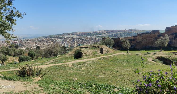 5 Days Tour From Tangier to Casablanca (Private) - Morocco Magic Trip 9