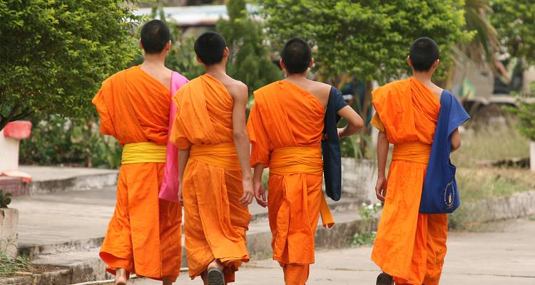 Vier jonge boeddhistische monniken in felloranje gewaden lopen samen over een tempelpad.