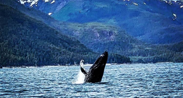 Circuit de 11 jours en Alaska - Bindlestiff Tours 2