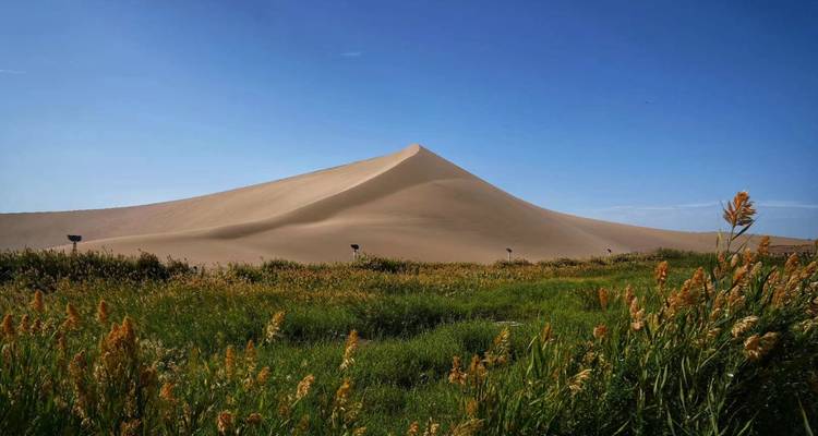 Zandduin met gras op de voorgrond onder heldere luchten.