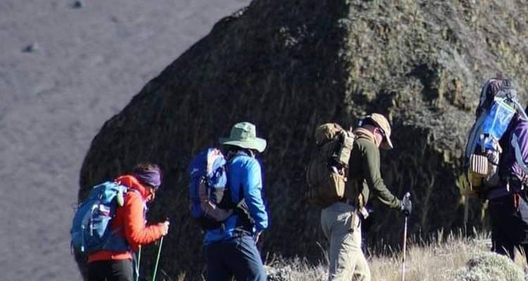 EXCURSION D'UNE JOURNÉE AU MONT KILIMANDJARO ROUTE MARANGU - Johnadventures 7