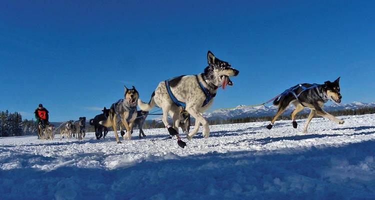 Circuit de 6 jours au pays des merveilles de l'hiver à Yellowstone - Bindlestiff Tours 2