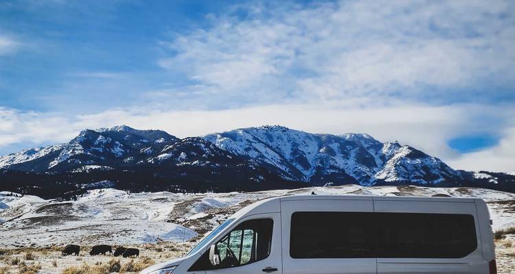 Circuit de 6 jours au pays des merveilles de l'hiver à Yellowstone - Bindlestiff Tours 7