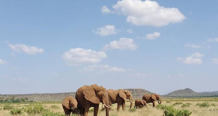 8 Days Kenya Classic - Classic Journeys Africa Ltd 1