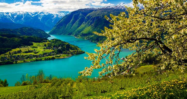 Vision de la Scandinavie et des pays baltes - V.O.S – Vision of Scandinavia 2