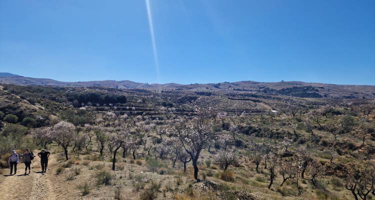 Caminar por árboles en flor - Ibex Trex Walking Holidays 3