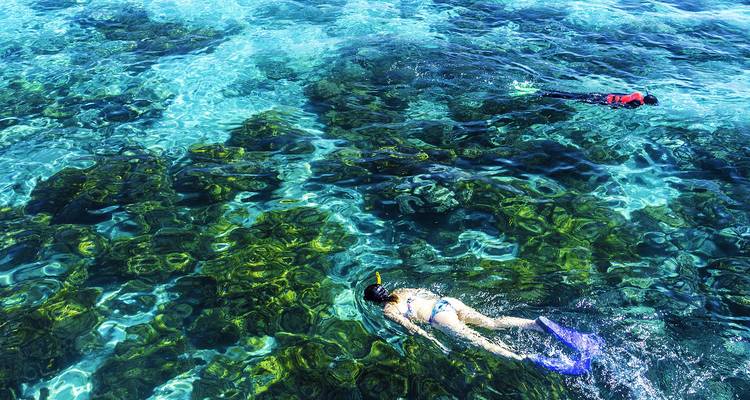 Aventura de Brisbane a Cairns (28 destinations) - Intrepid Travel 7