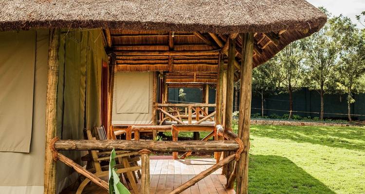5 Days Ndutu Migration - Lappet Faced Safaris 6