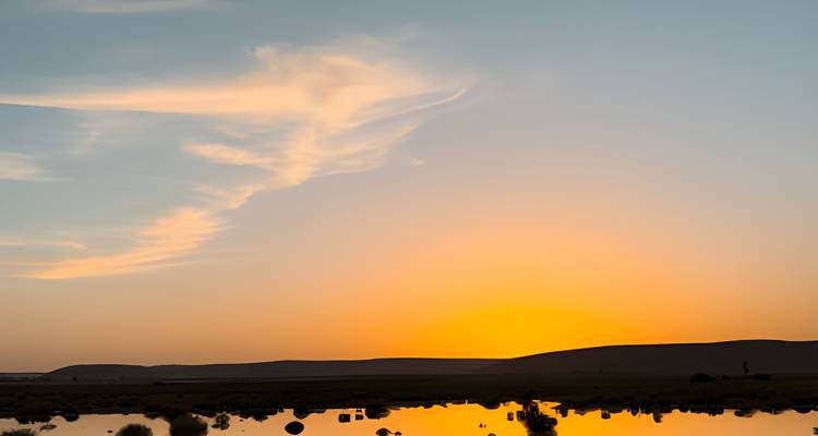Mature Saharan & Oases Tour - EL-GOLEA  Tourism  Travel 8