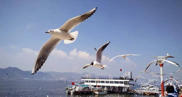Guangzhou to Yunnan Province 12 Days - Silk Road Trips 4