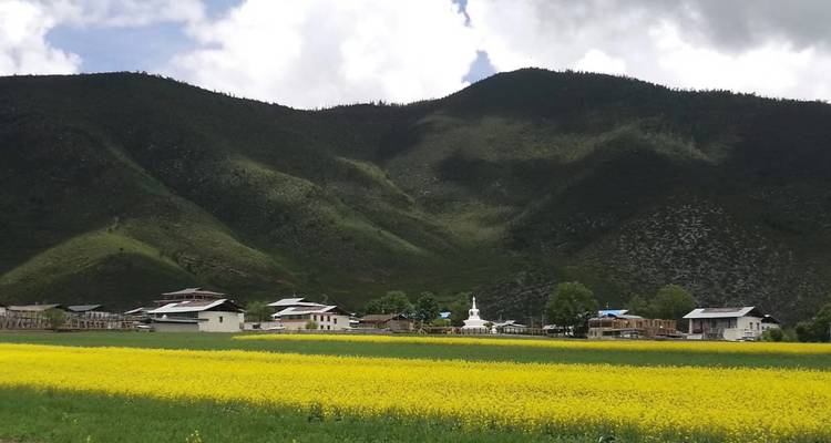 Guangzhou to Yunnan Province 12 Days - Silk Road Trips 9
