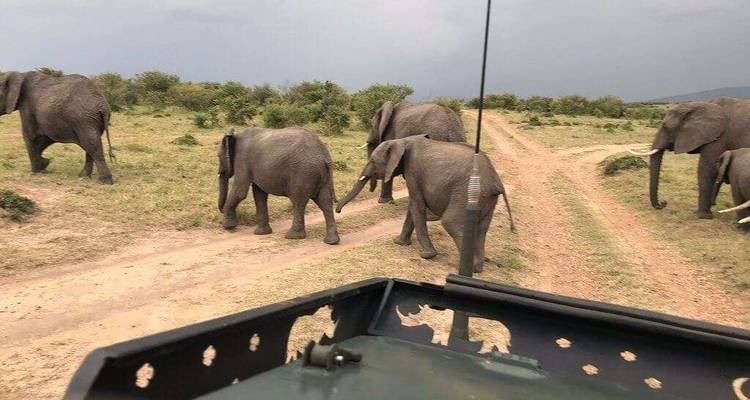 CLASSIC JOURNEYS 10 DAYS SAFARI IN KENYA - Classic Journeys Africa Ltd 8