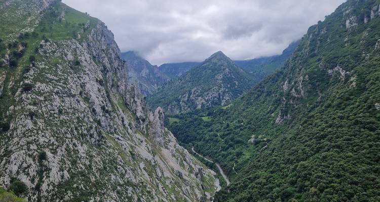 Paysage montagneux avec des falaises rocheuses et des forêts luxuriantes.