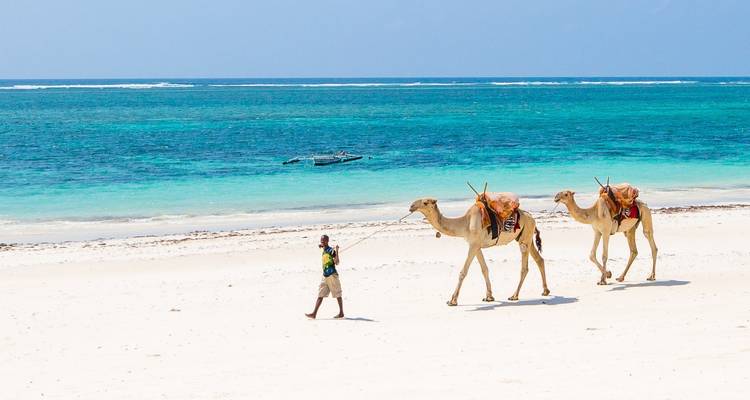Person, die Kamele an einem weißen Sandstrand am türkisfarbenen Meer führt.