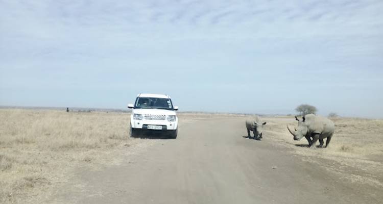 Randonnée de 2 jours au Mont Kenya et Ol Pejeta - la maison des chimpanzés 30% de réduction - Smile view Kenya tours and travel 3