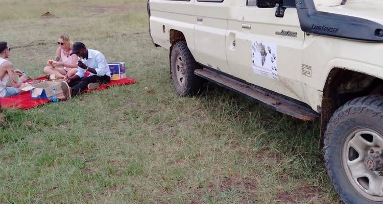 Randonnée de 2 jours au Mont Kenya et Ol Pejeta - la maison des chimpanzés 30% de réduction - Smile view Kenya tours and travel 4