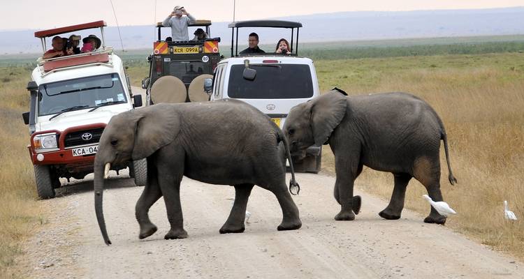 Randonnée de 2 jours au Mont Kenya et Ol Pejeta - la maison des chimpanzés 30% de réduction - Smile view Kenya tours and travel 6