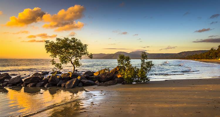 Plage de sable au coucher du soleil avec des rochers et des arbres.