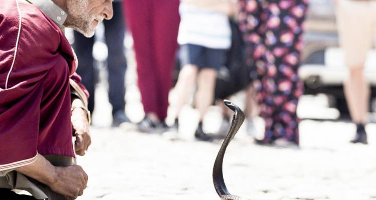 Snake charmer performing with a cobra, crowd in background.