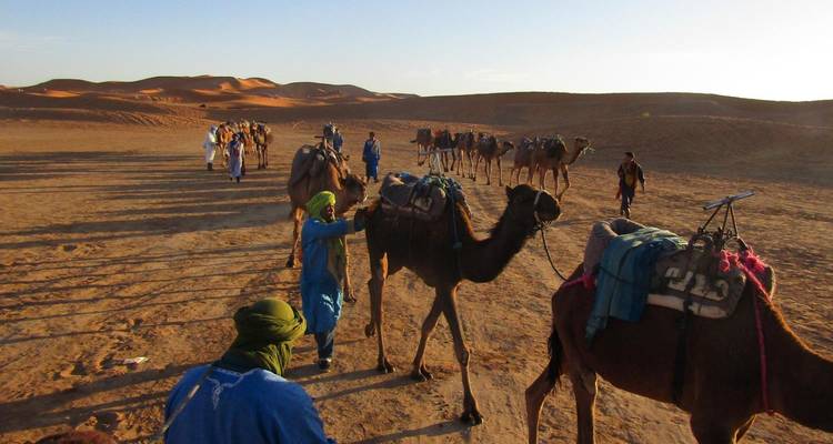 Caravan of camels in a desert landscape.