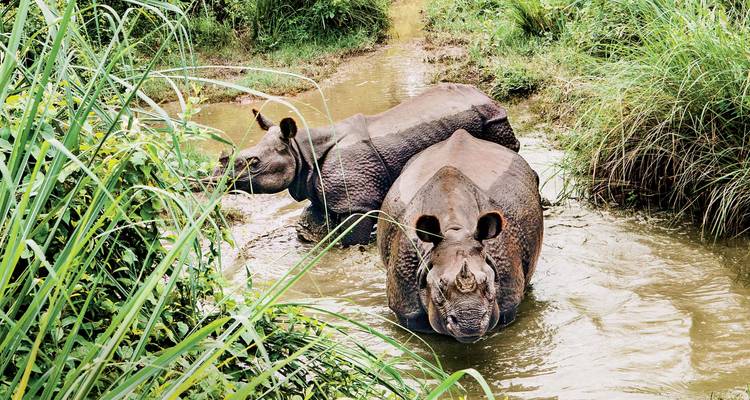 Wonders of Nepal - Passage Holidays 7